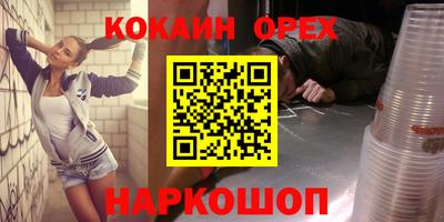 тгк Бийск