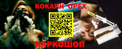 тгк Бийск