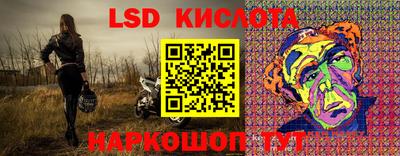 тгк Бийск