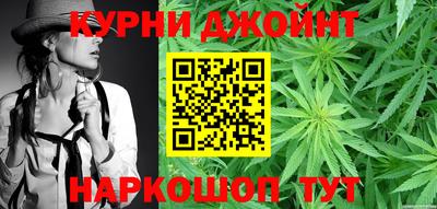 тгк Бийск