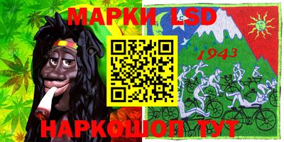 тгк Бийск