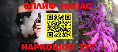 тгк Бийск