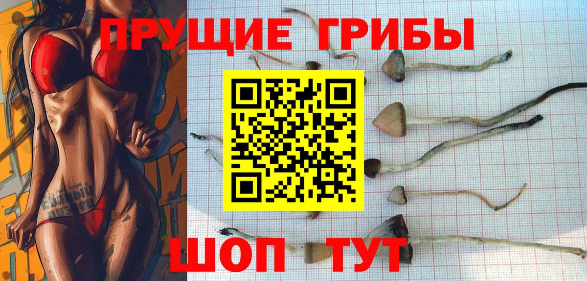 Зеленогорск  хочу   Вход с VPN  Галлюциногенные грибы ЛСД 