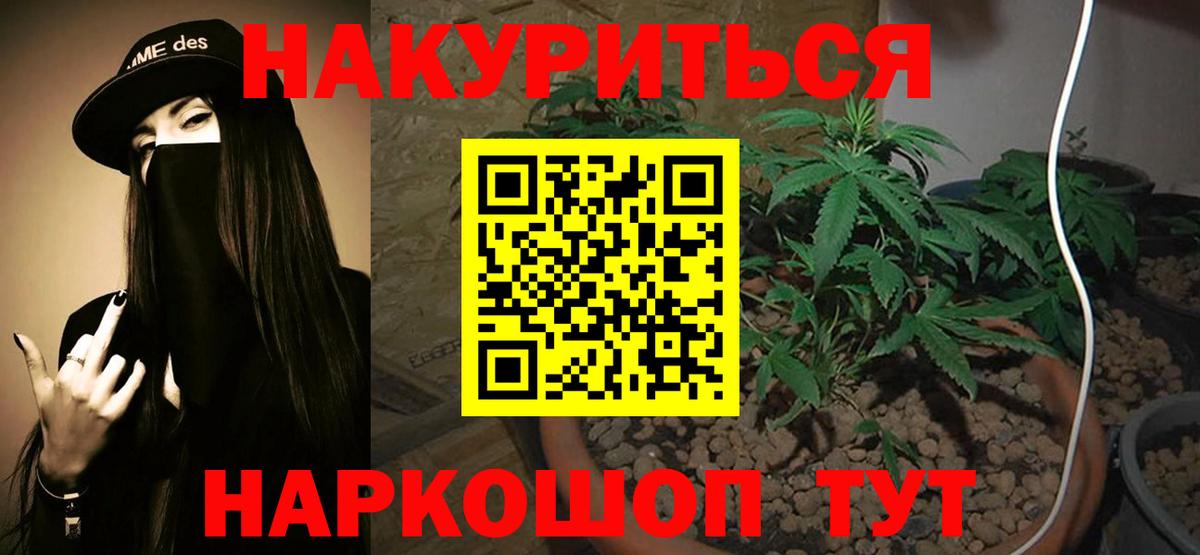 Конопля марихуана Зеленогорск